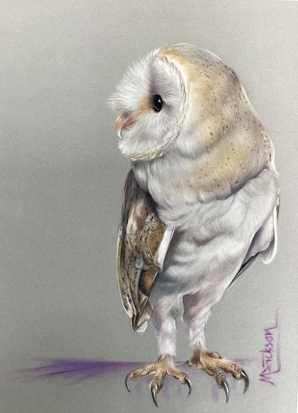 Owl, Birds of Prey Art Experience Owl, Birds of Prey Art Experience