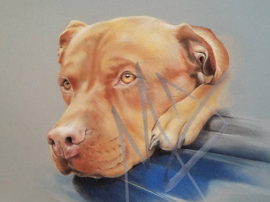 Realistic dog portrait in pastels
