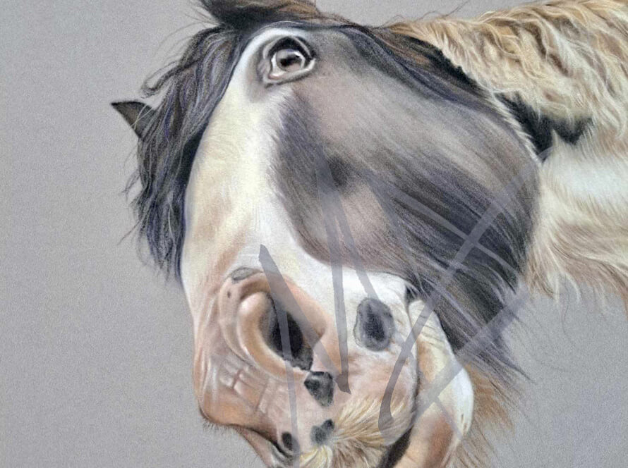 Lifelike Horse Portrait in Pastel