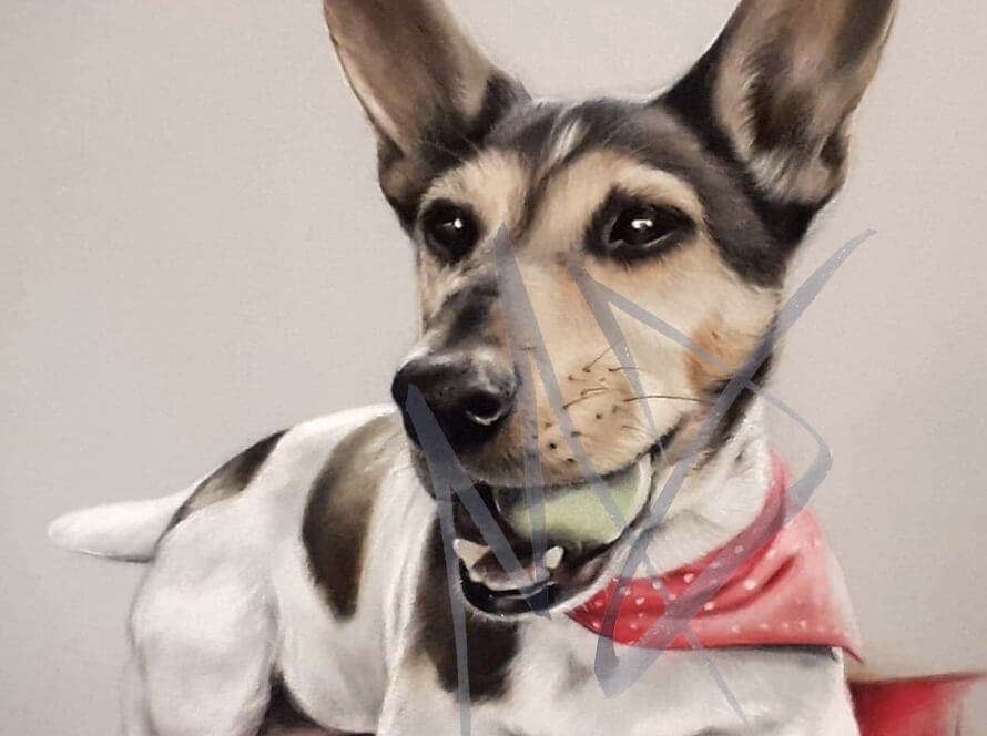 Lifelike pet portrait of a Jack Russell Terrier