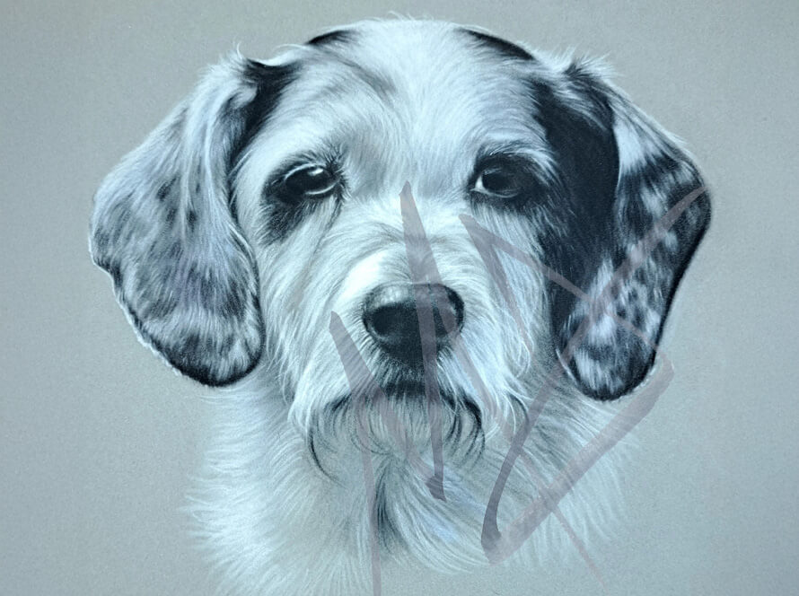Lifelike pet portraits in pastels