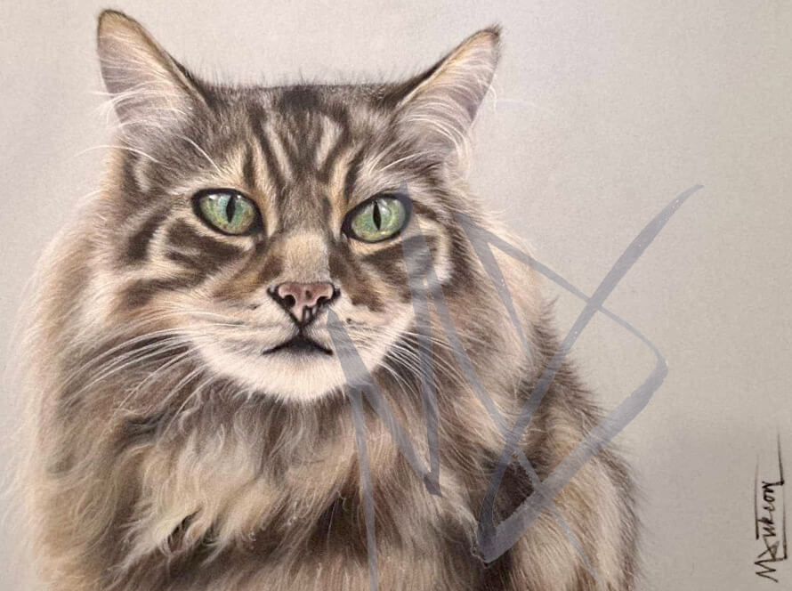 Lifelike Pastel Portrait of Tabby Cat